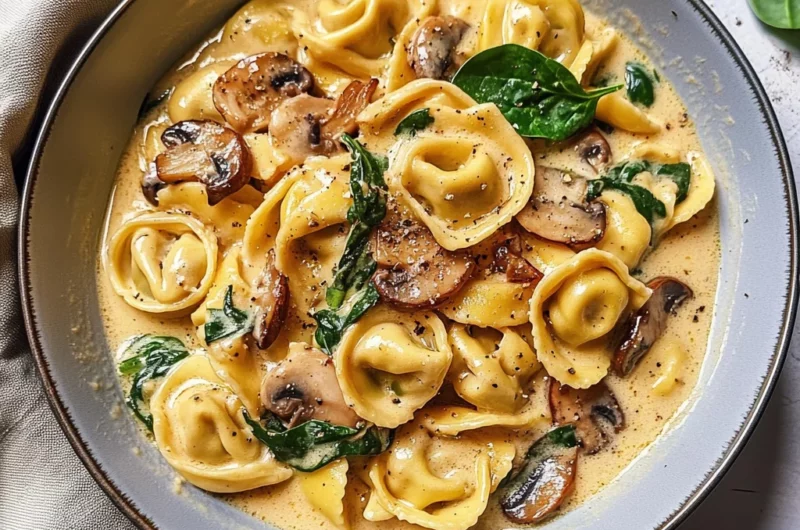 creamy tortellini