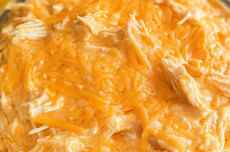 Slow Cooker Buffalo Chicken Dip
